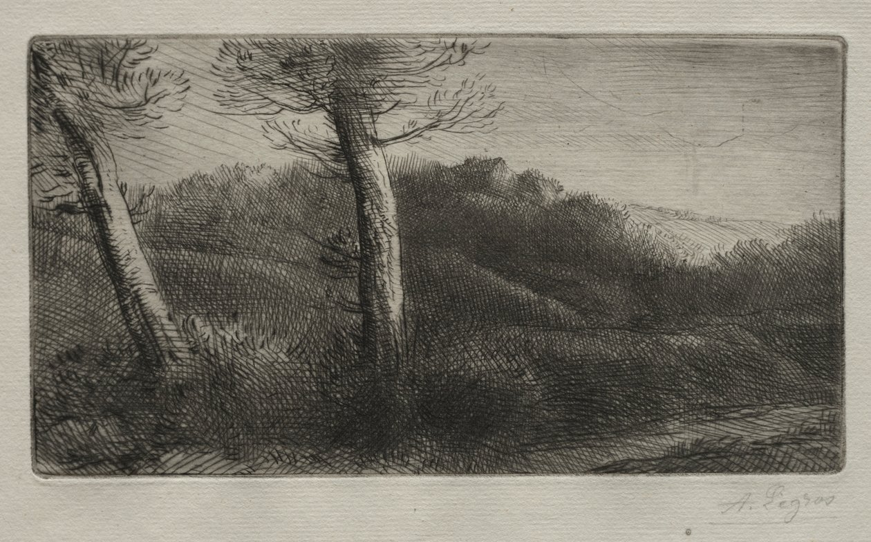 El Viajero Tumbado en la Hierba, c. 1888 de Alphonse Legros