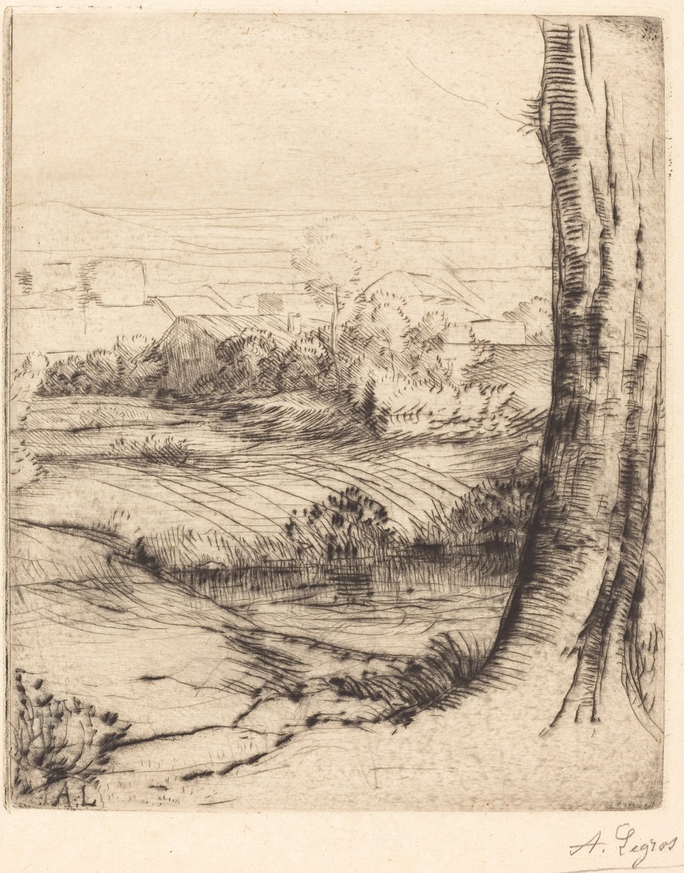 Vista de juncos Coin de roseau de Alphonse Legros