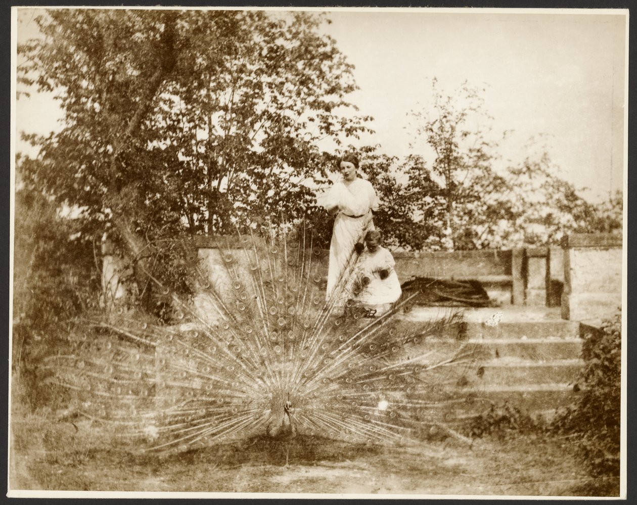 [La Sra. Marie Mucchová con su hija Jaroslava en el parque de Zbiroh, Bohemia]. de Alphonse Maria Mucha