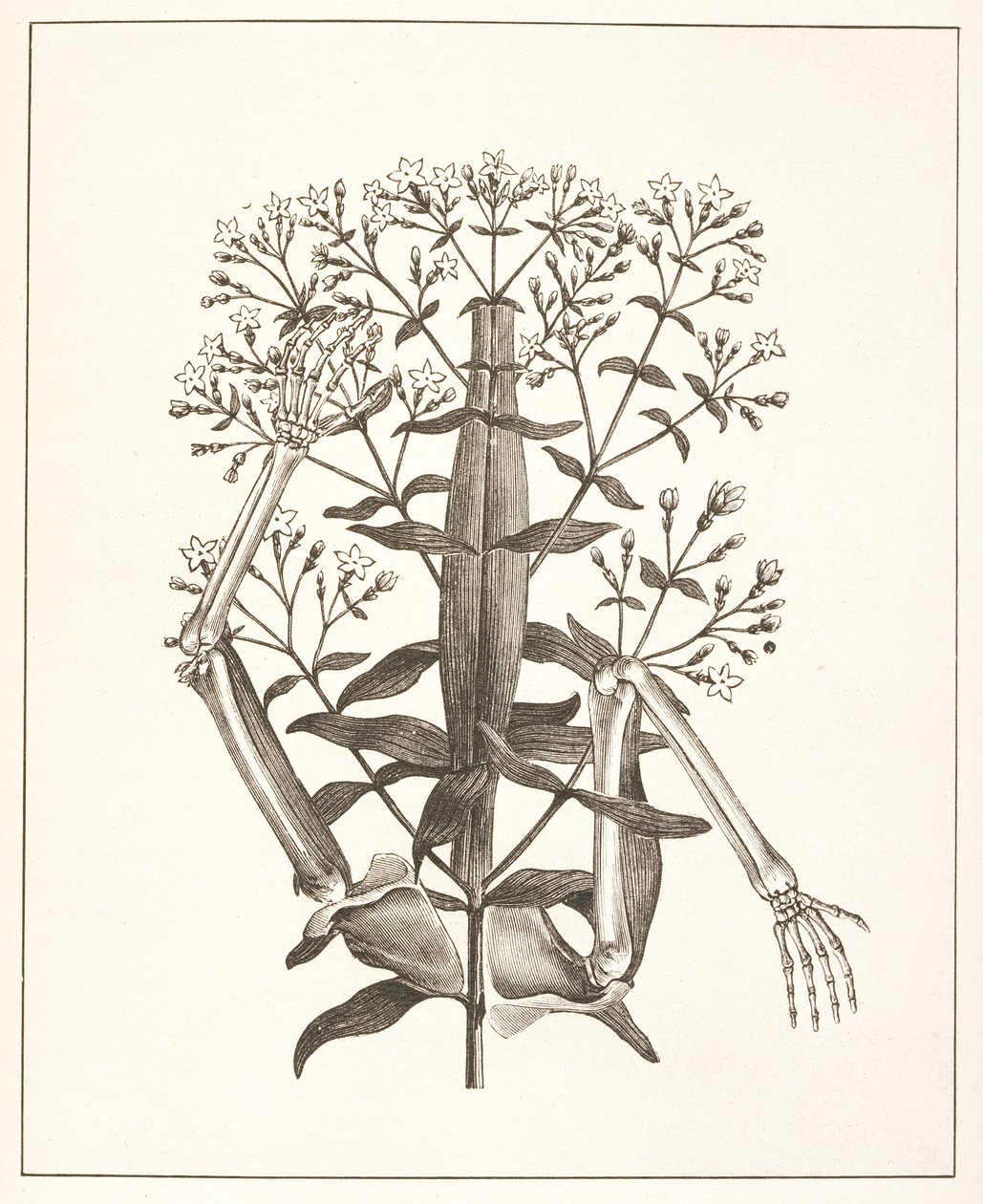 Ilustración de 