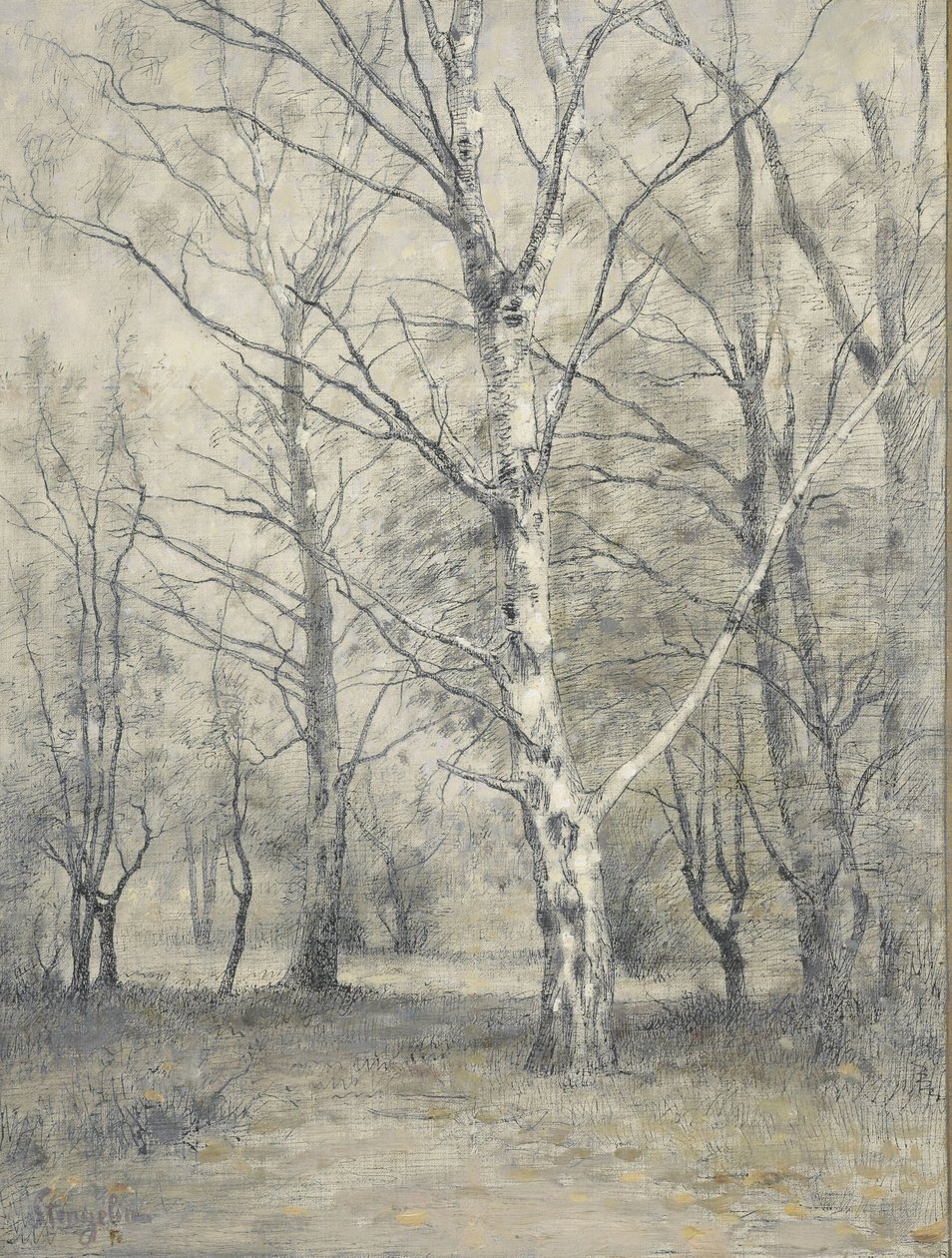 Bosque con abedules de Alphonse Stengelin