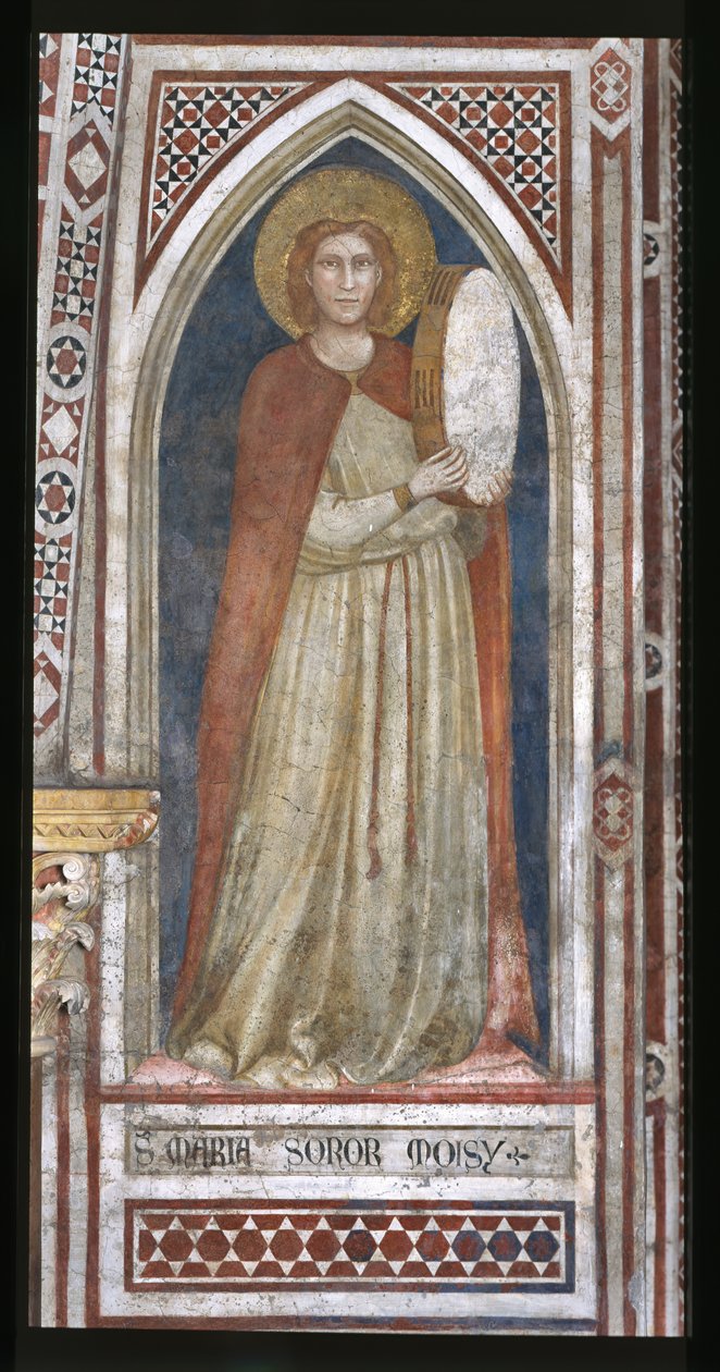 Capilla de la Magadalena, la pared norte: "Miriam, hermana de Moisés de Ambrogio Bondone (workshop) Giotto