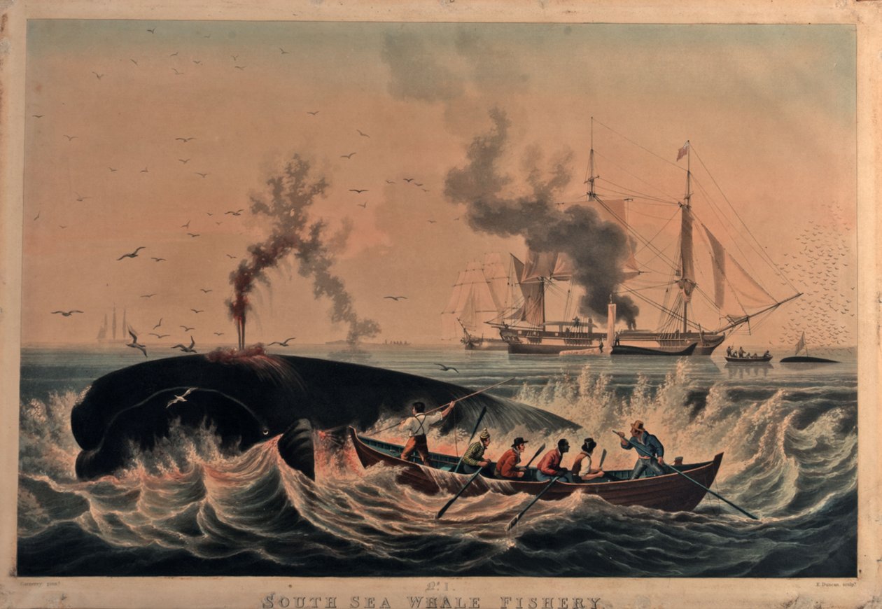 Pesca de ballenas en el Mar del Sur de Ambroise Louis (after) Garneray