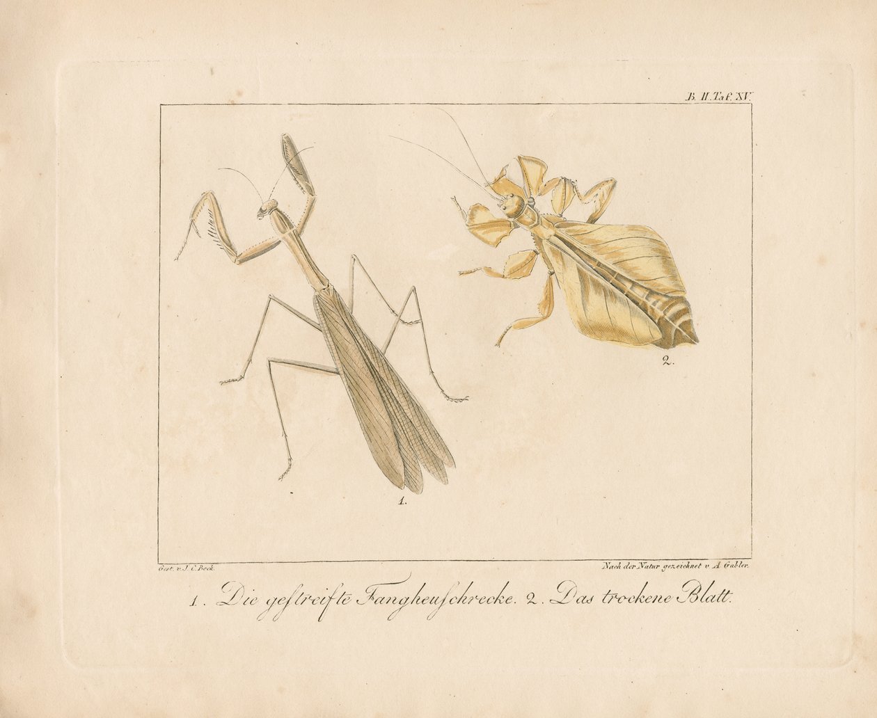  de Ambrosius Gabler