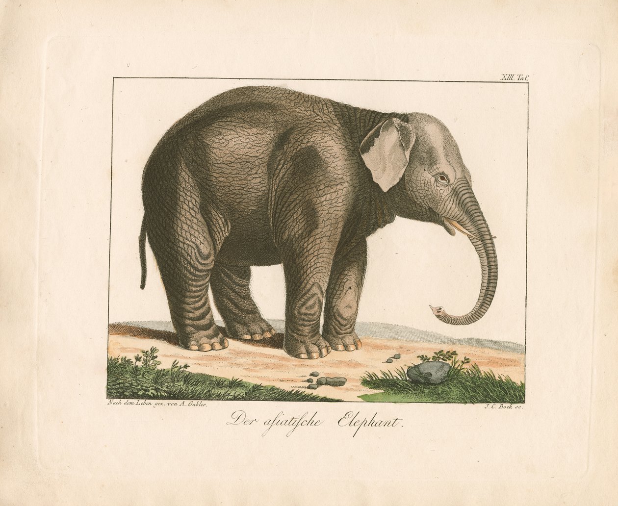  de Ambrosius Gabler