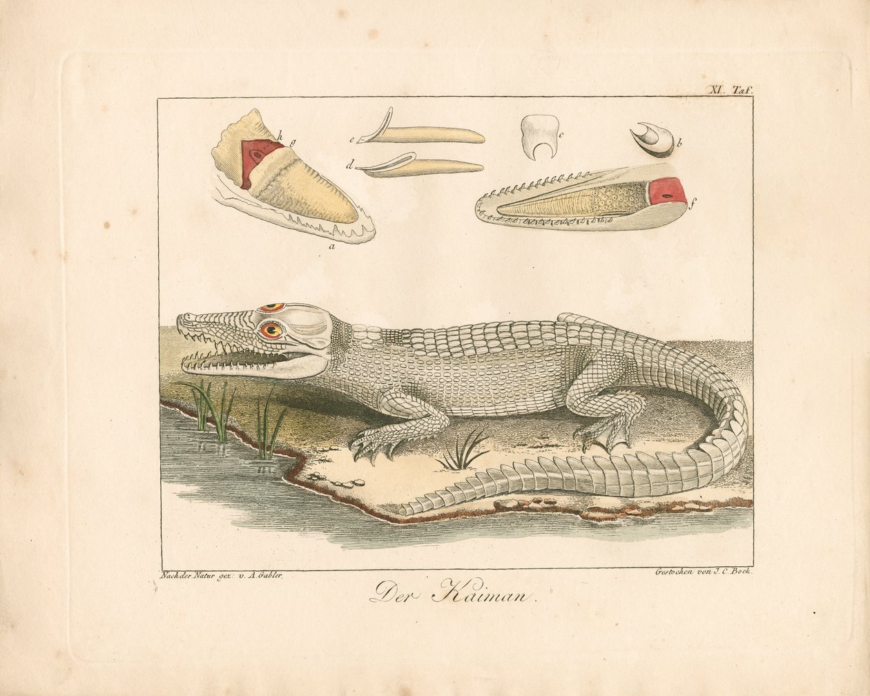  de Ambrosius Gabler