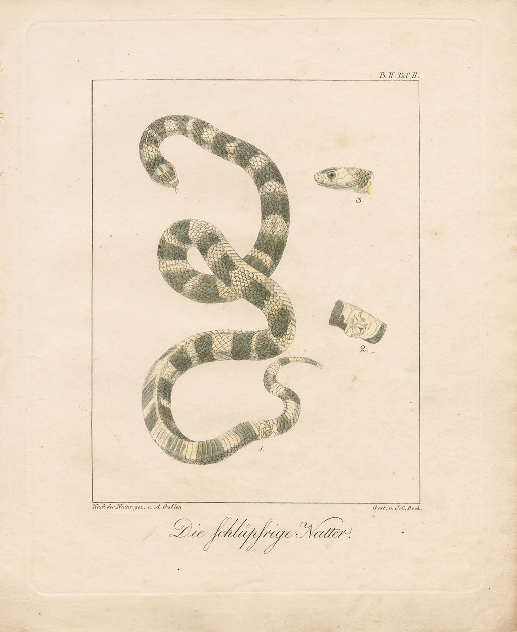  de Ambrosius Gabler