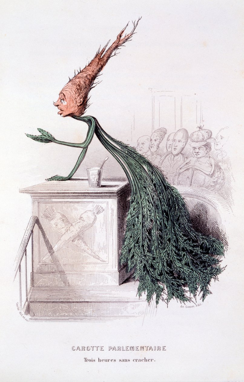 Zanahoria Parlamentaria, ilustración de 