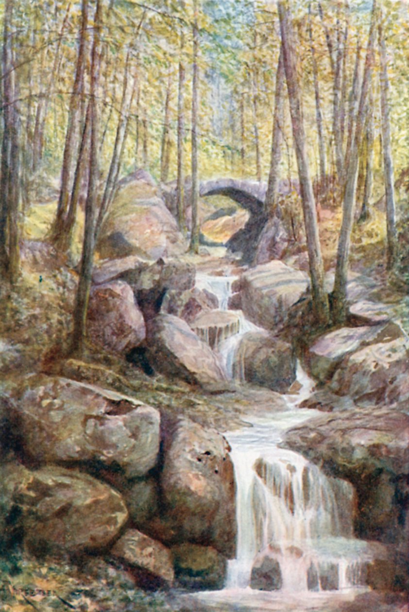 Pont du Prophete, Promenade Meyerbeer, Spa Woods (litografía en color) de Amedee (after) Forestier