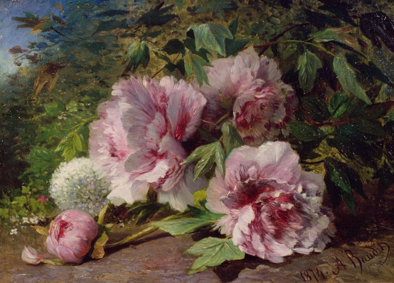 Estudio de Peonías, 1874 de Amedee Baudit