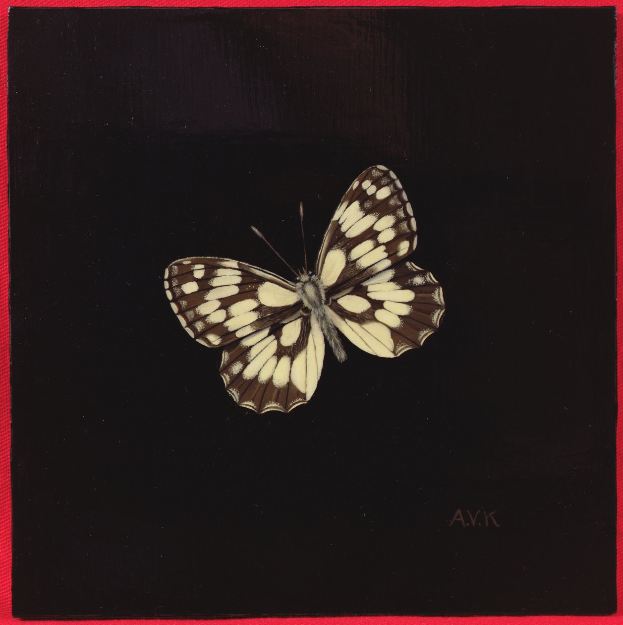Mariposa blanca jaspeada, 2000 de Amelia Kleiser