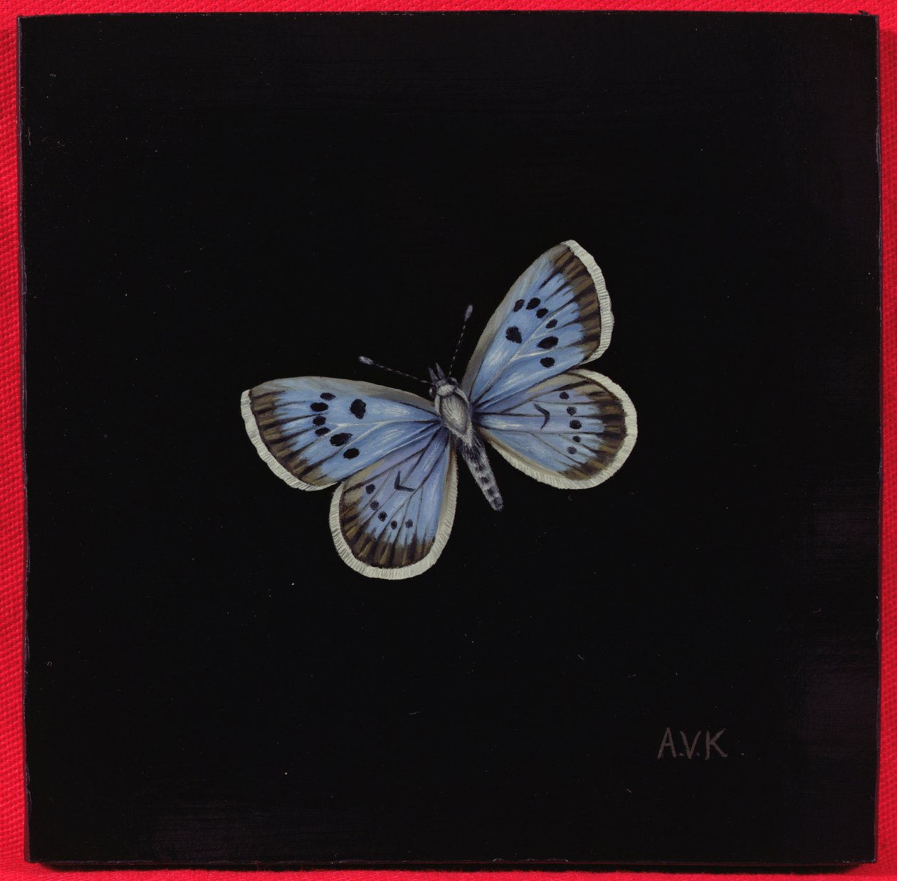 Mariposa azul grande, 2000 de Amelia Kleiser