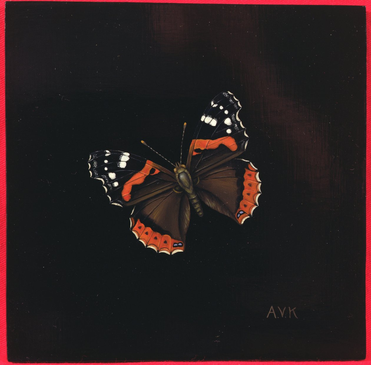 Mariposa almirante rojo, 2001 de Amelia Kleiser