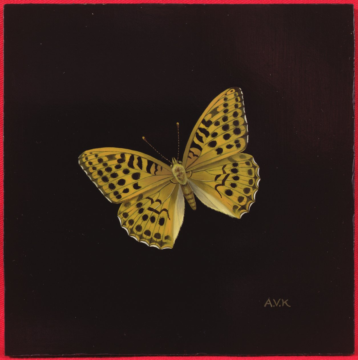 Mariposa fritilaria de plata, 2000 de Amelia Kleiser