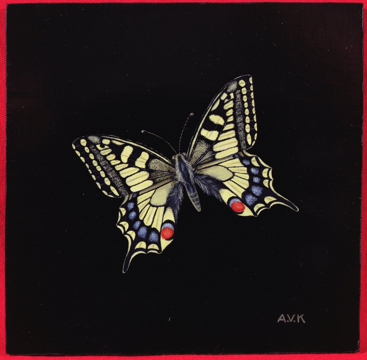 Mariposa macaón, 1999 de Amelia Kleiser