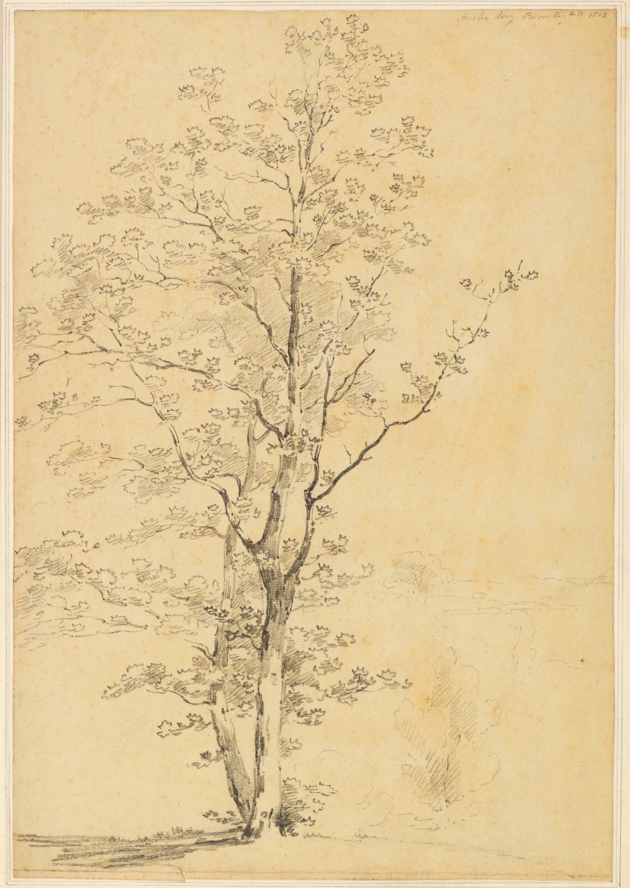 Bromley Hill de Amelia Long