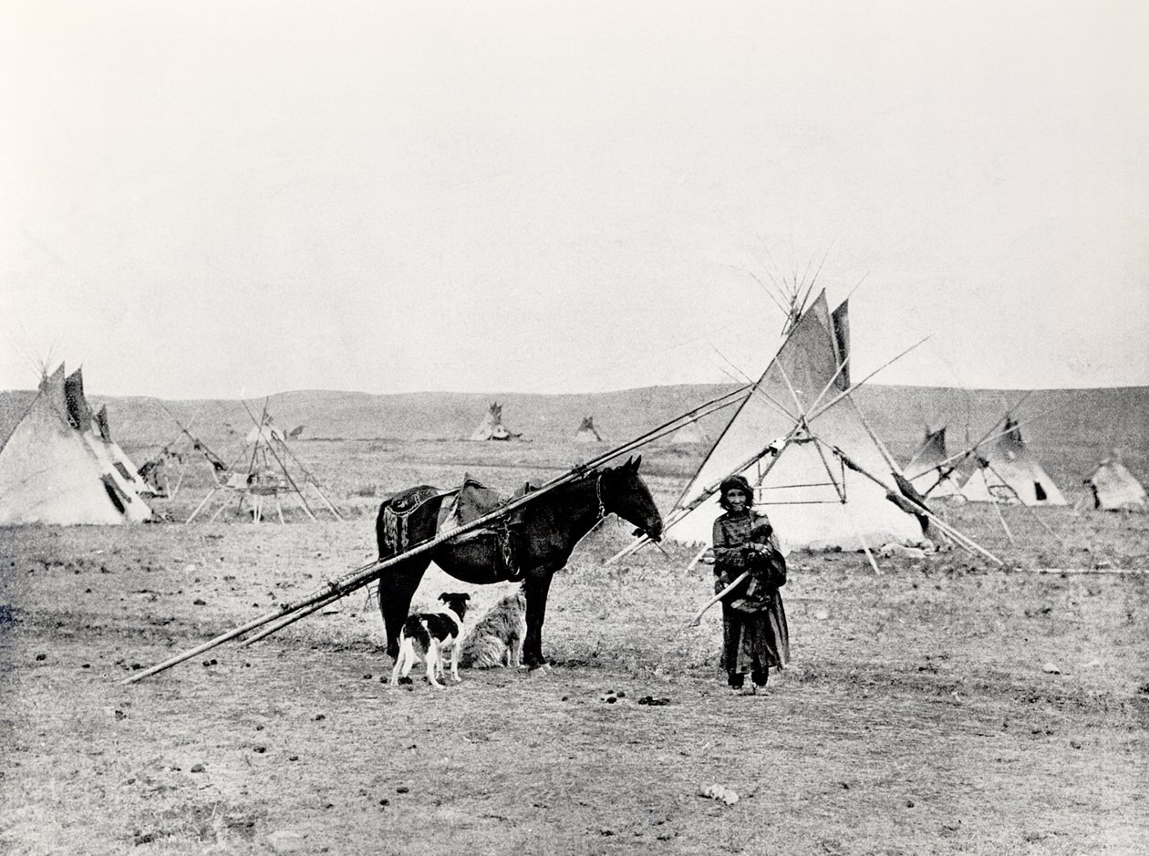 Indio Comanche de American Photographer
