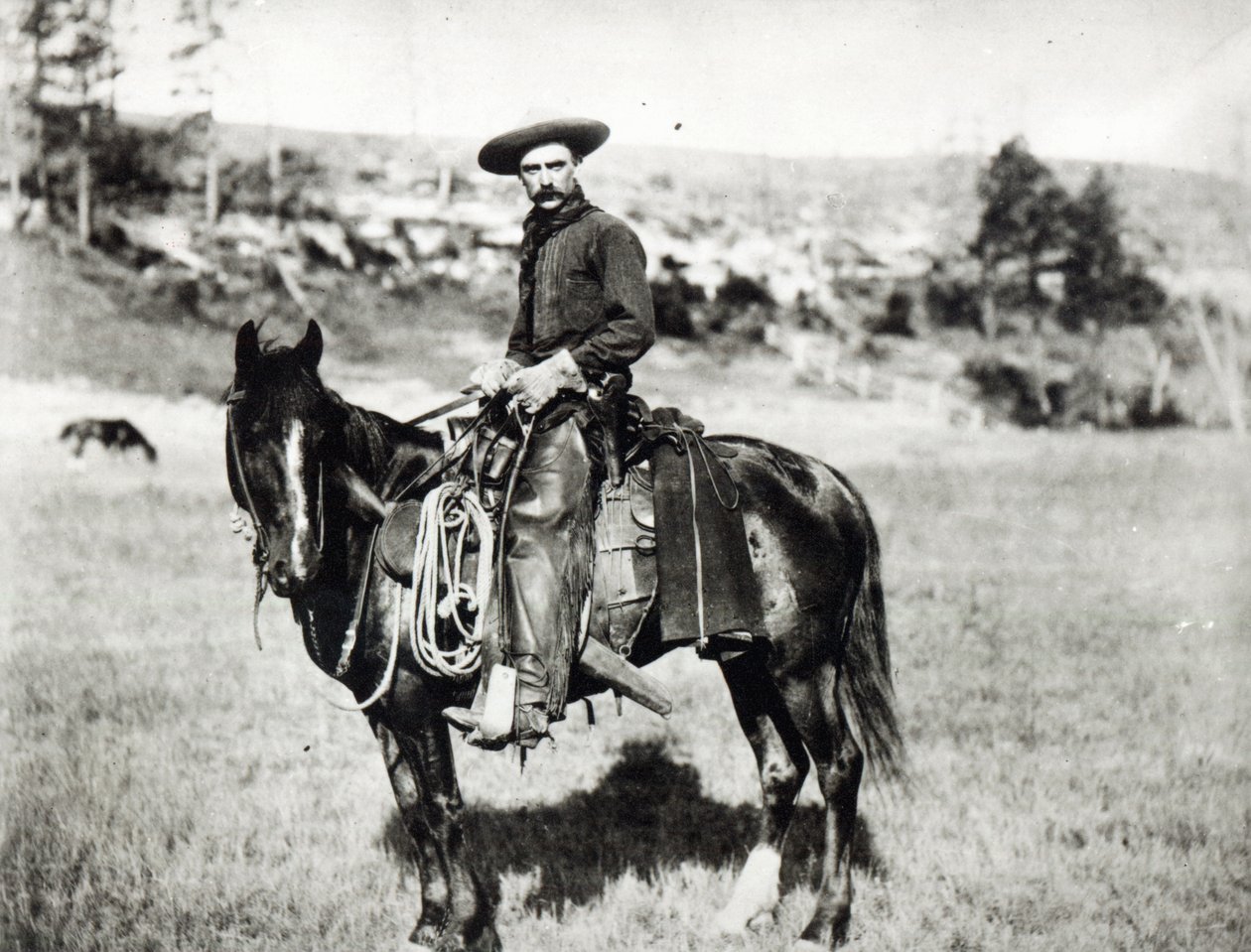 Vaquero montando un caballo en Montana, EE.UU., c. 1880 de American Photographer