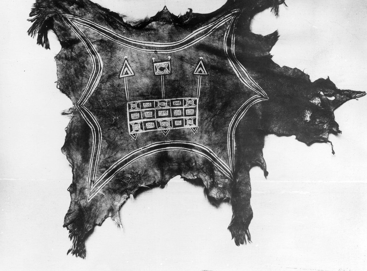 Piel de búfalo pintada, indio Ute, c.1888-1910 de American Photographer