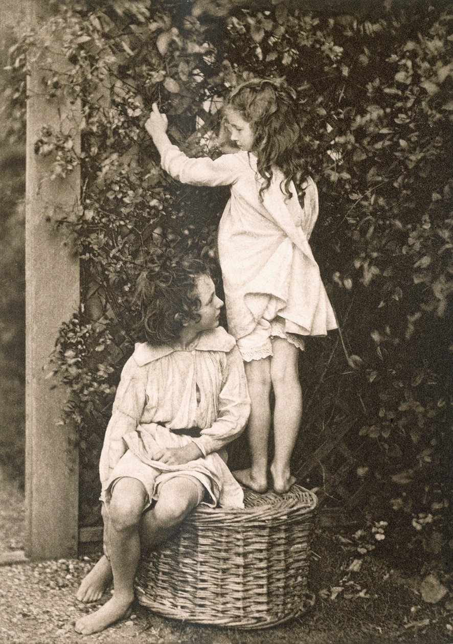 El jardín de verano, de Sun Artists: A Serial of Artistic Photography, publicado por Kegan Paul, Trench Trubner, Londres, 1889-91 de American Photographer