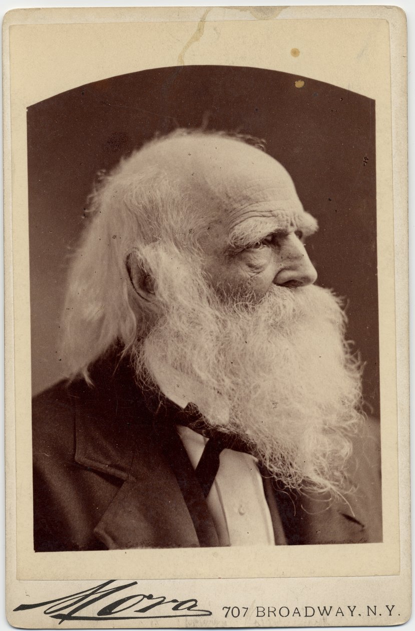William Cullen Bryant (1794-1878), Poeta Americano, foto de Albert J Mora, Nueva York de American Photographer
