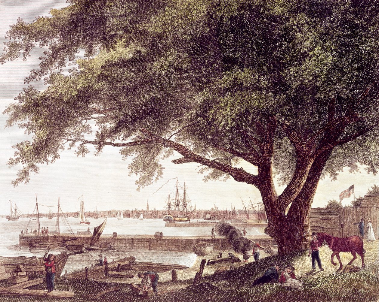 La ciudad y el puerto de Filadelfia, en el río Delaware, desde Kensington, 1800 de American School