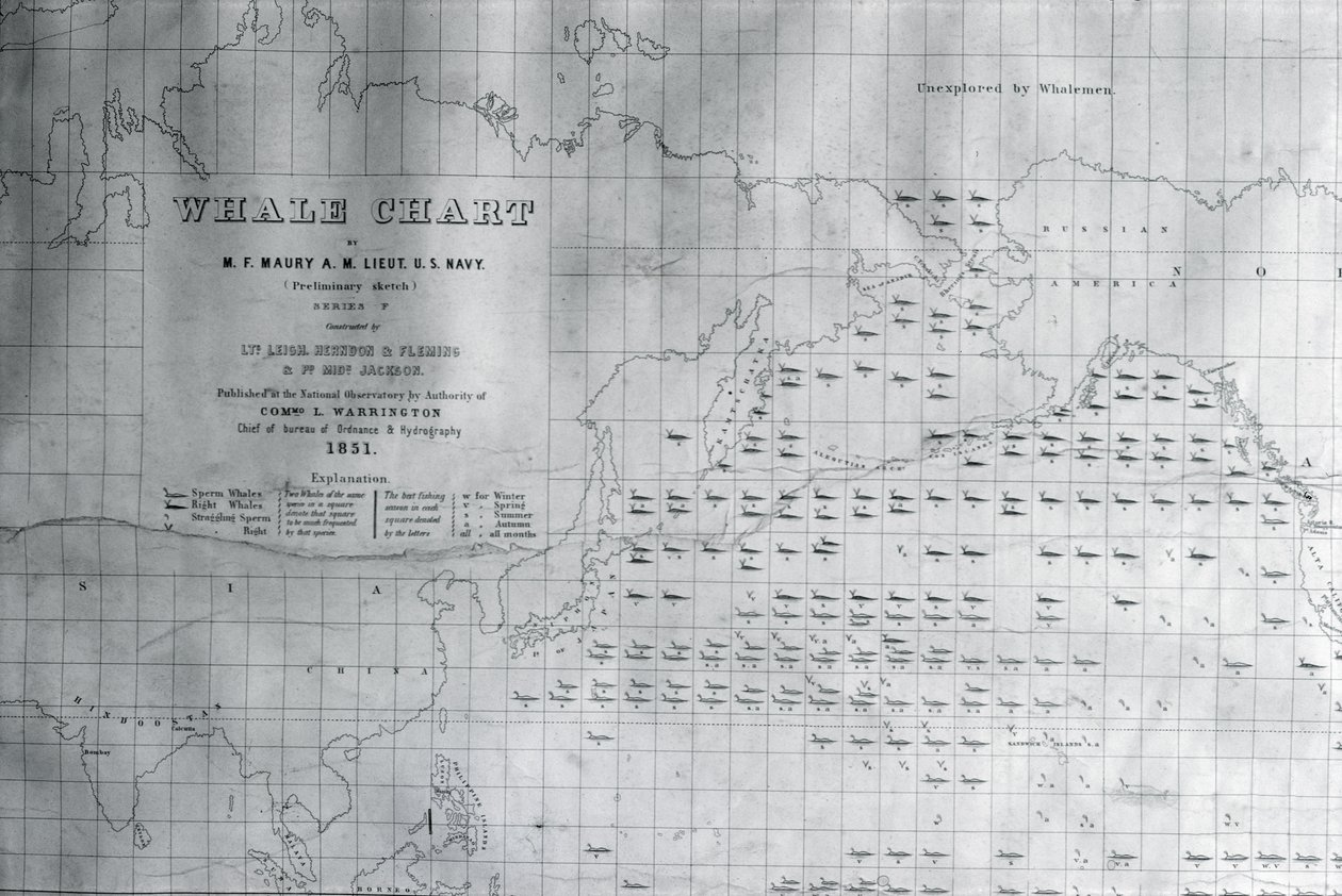 Carta de ballenas del Pacífico Norte, 1851 de American School