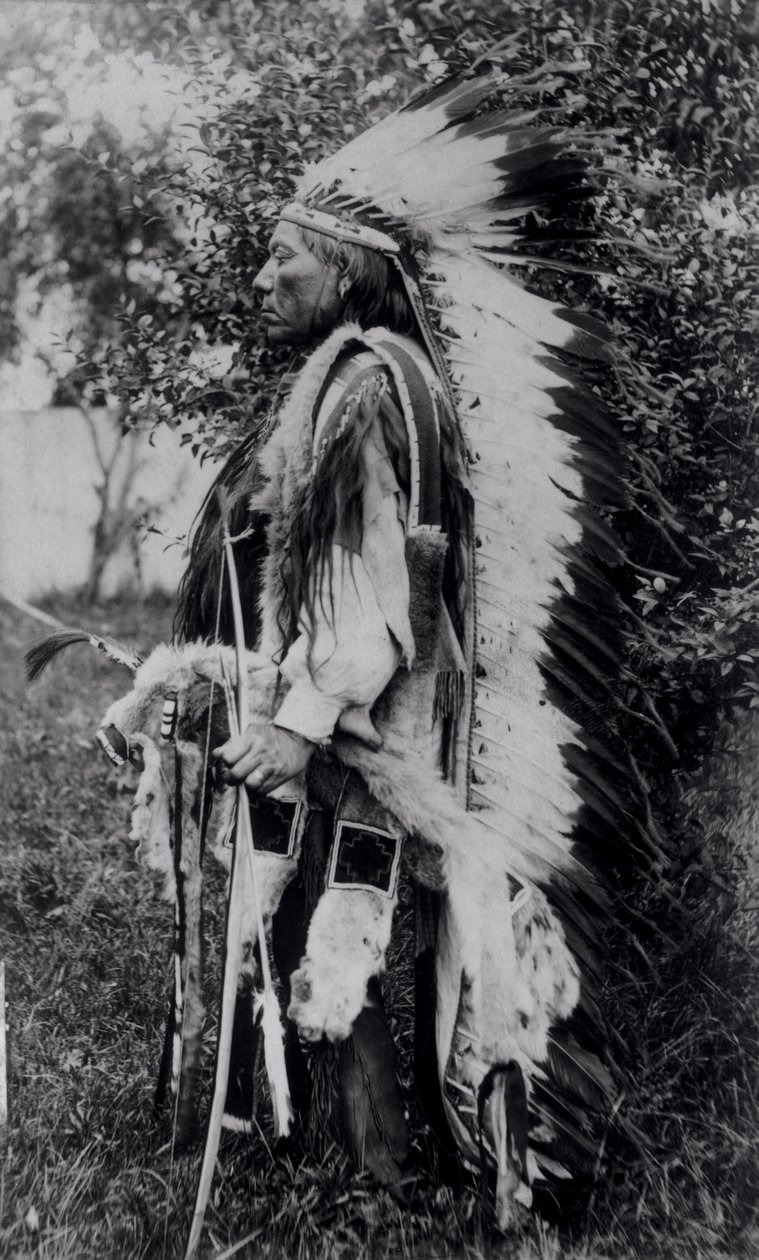 Lobo Blanco, un jefe comanche, c.1891-98 de American School