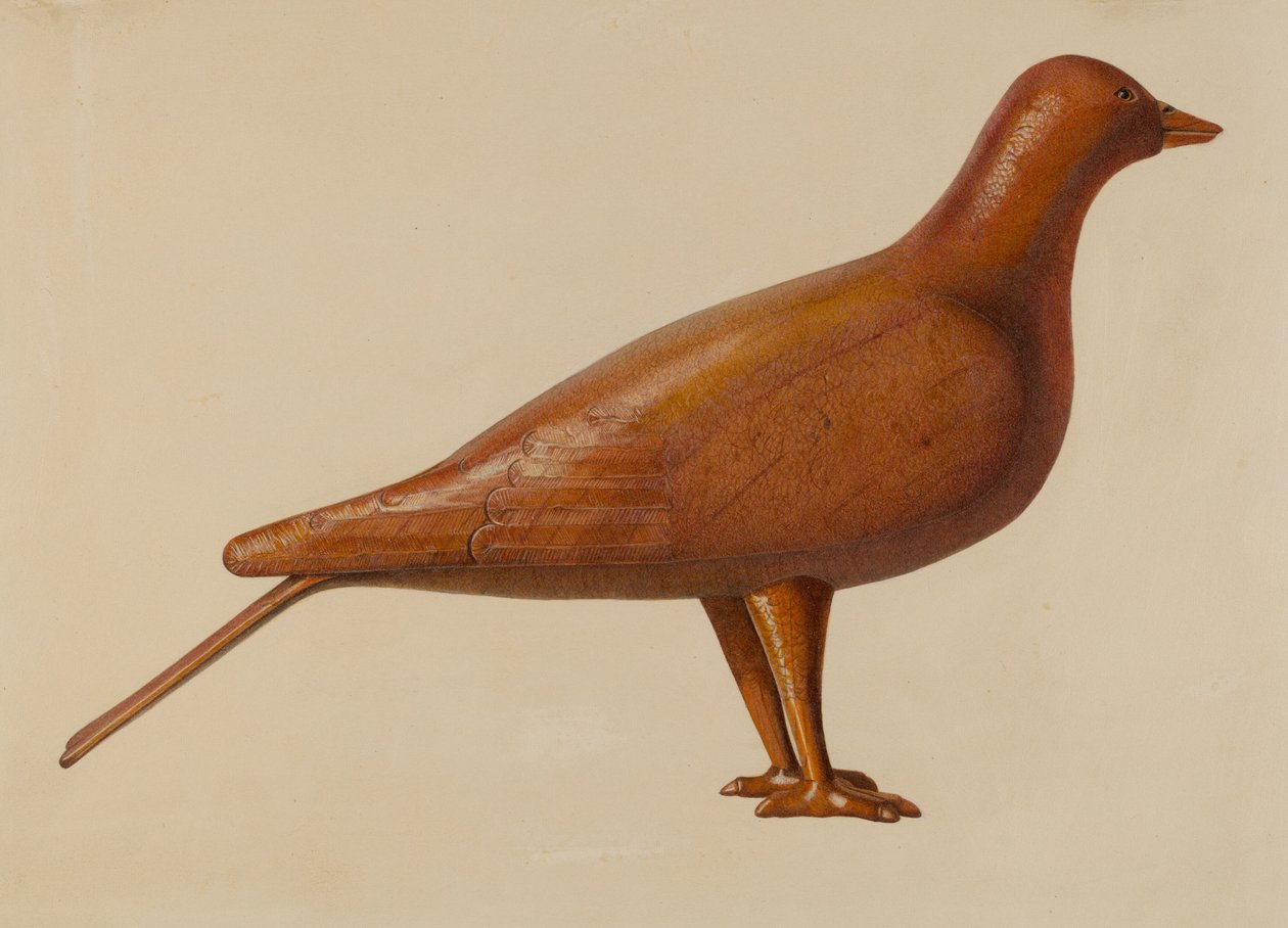 Señuelo de Paloma de American 20th Century