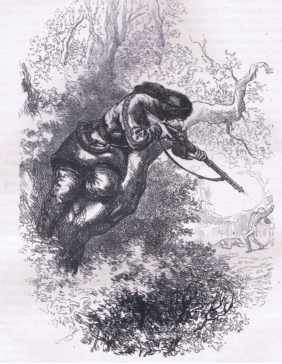 Tirador americano en un árbol, ilustración de la Historia de los Estados Unidos de Cassell publicada por Cassell, Petter & Galpin, c.1900 de American English school