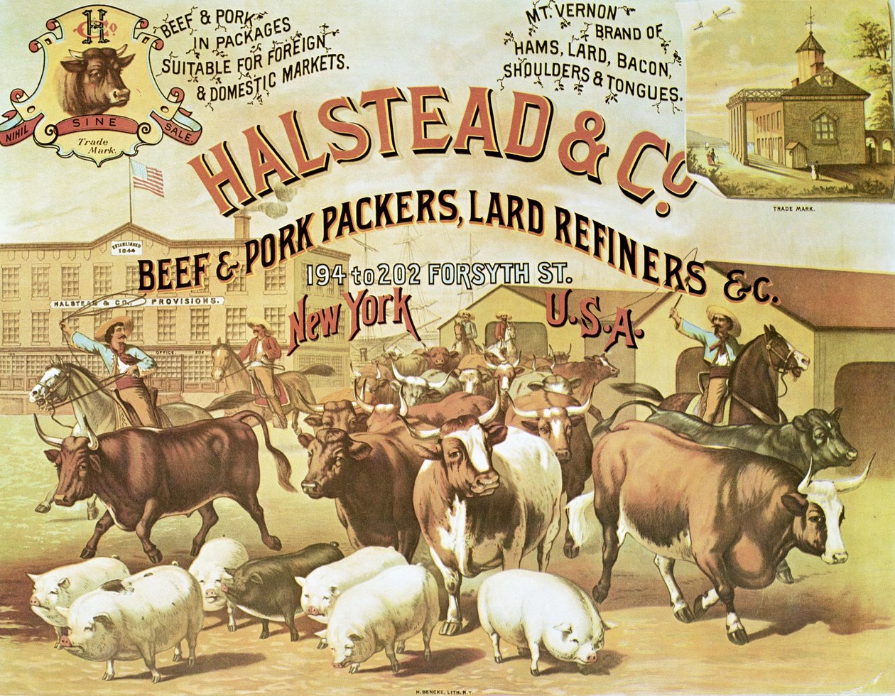 Empacadores de Carne de Res y Cerdo, c.1880 de American Photographer