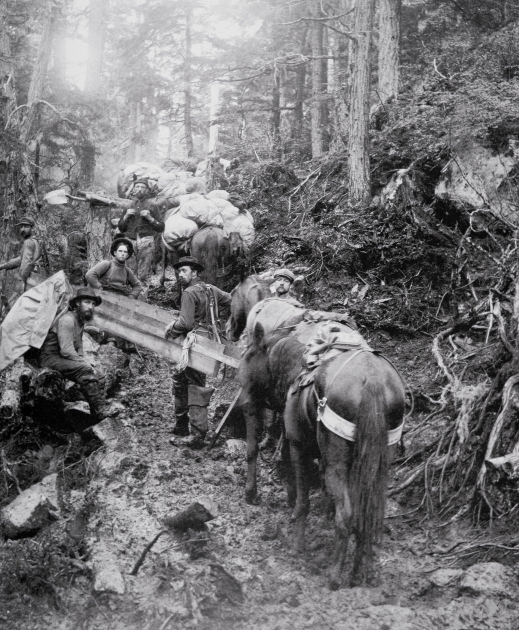 Escalando el Sendero Dyea en camino al Paso Chilkoot durante la Fiebre del Oro de Klondike (1897-98) de American Photographer