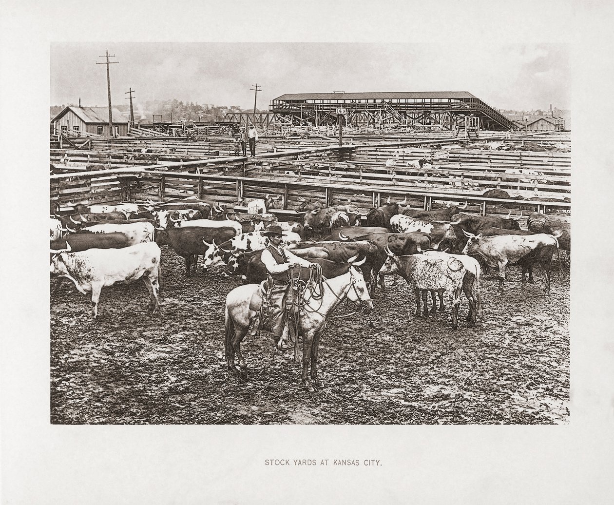 Kansas City, Missouri, EE.UU. de American Photographer