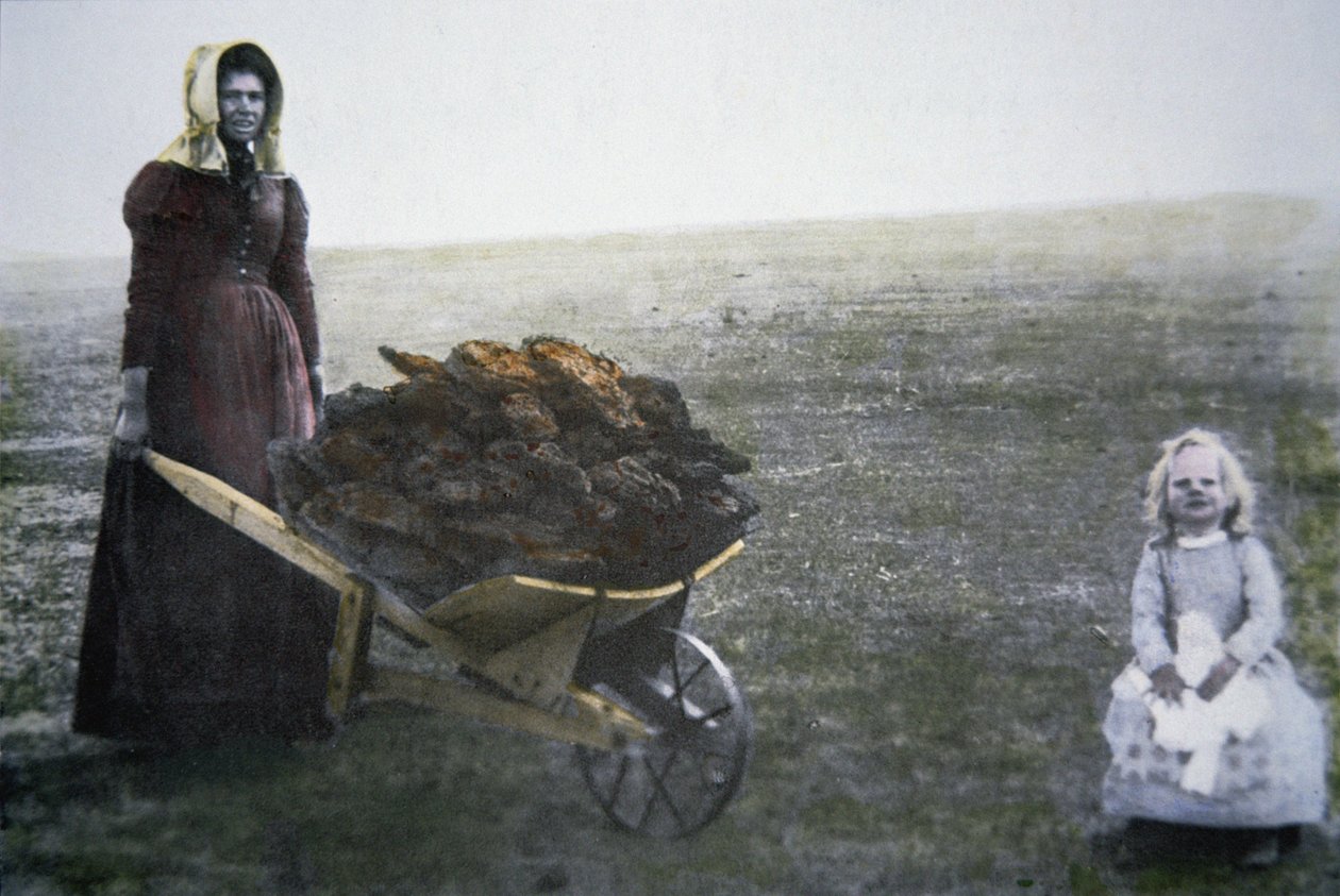 Mujer pionera recogiendo estiércol de ganado, Kansas, c.1880 de American Photographer