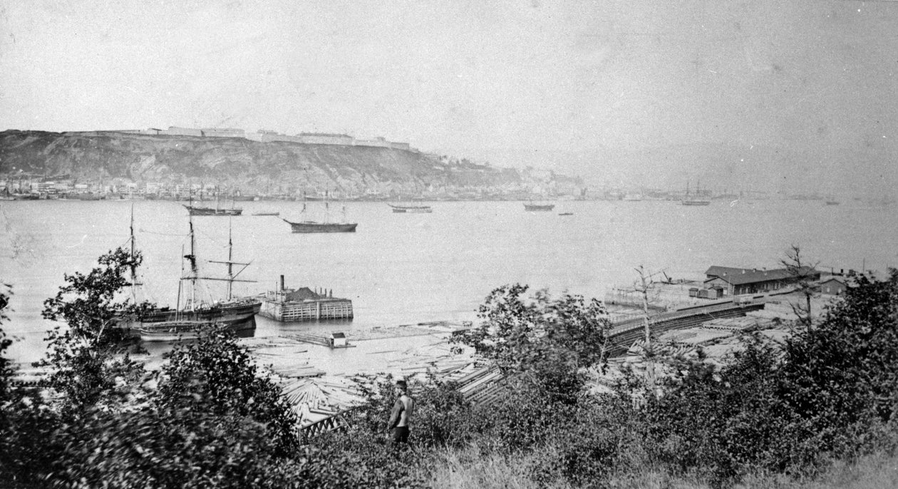 Vista de la ciudad de Quebec desde el puerto, c.1880-95 de American Photographer