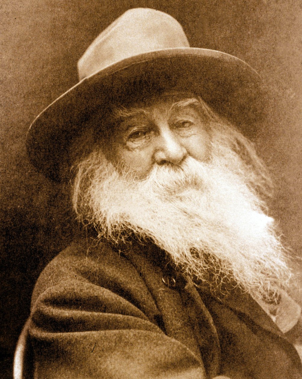 Walt Whitman (foto en blanco y negro) de American Photographer