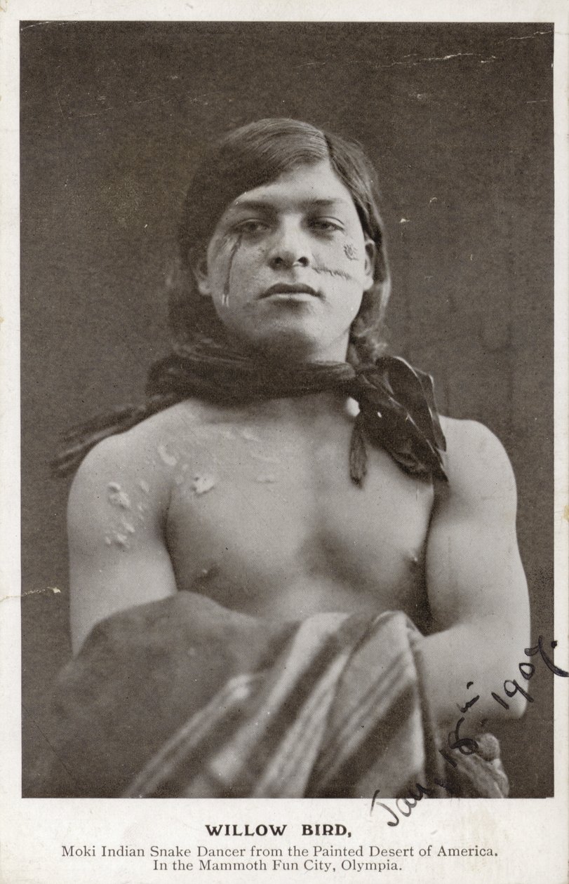 Willow Bird - Moki Indian snake dancer from the painted desert of America (foto b/n) de American Photographer