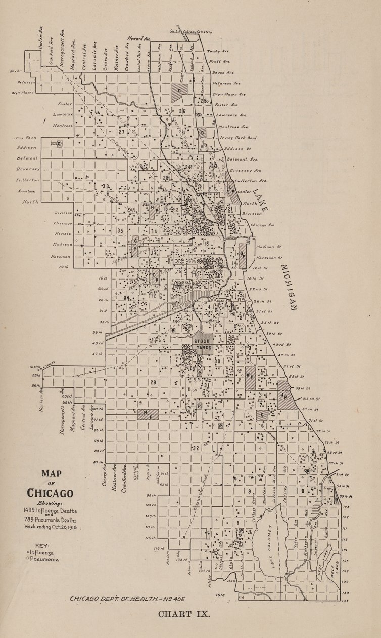 Informe sobre una epidemia de gripe en la ciudad de Chicago en el otoño de 1918 de American School