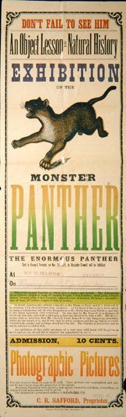 Anuncio para la exhibición del Monstruo Pantera de American School