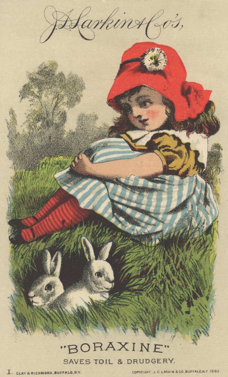 Anuncio de J. D. Larkin & Cos Boraxine, 1882 de American School