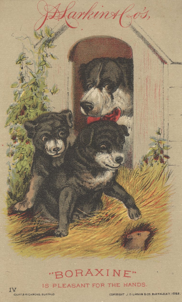 Anuncio de J. D. Larkin & Cos Boraxine, 1882 de American School