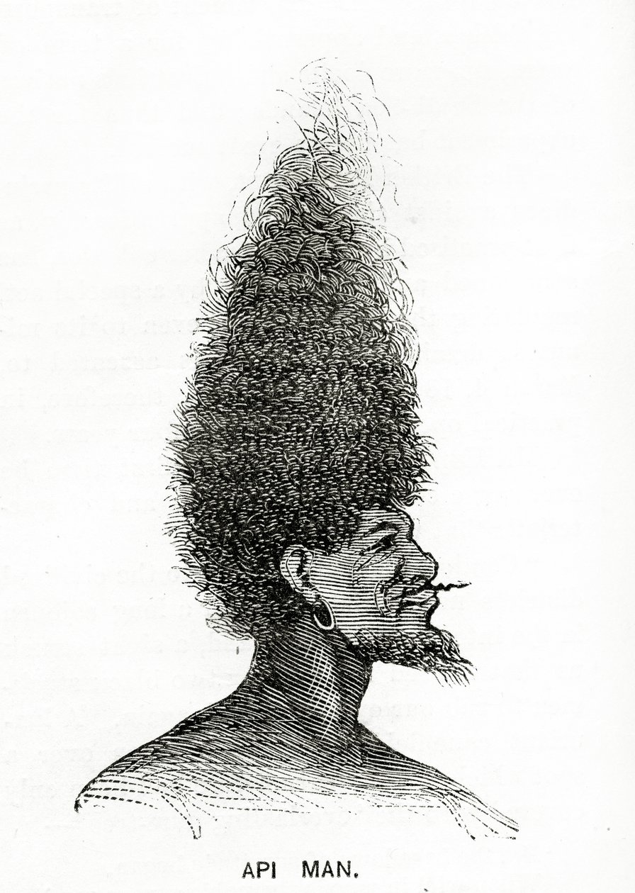 Hombre Api, ilustración de Appletons Journal, 4 de mayo de 1872 de American School