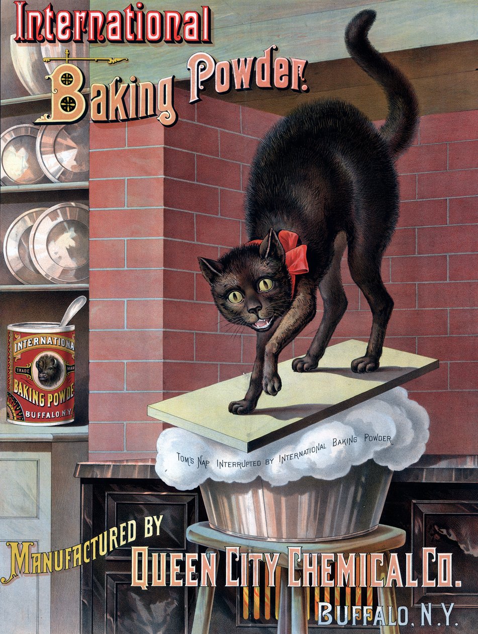 Black Cat Awakened by Rising Bread Dough, c.1885 (cromolitografía) de American School