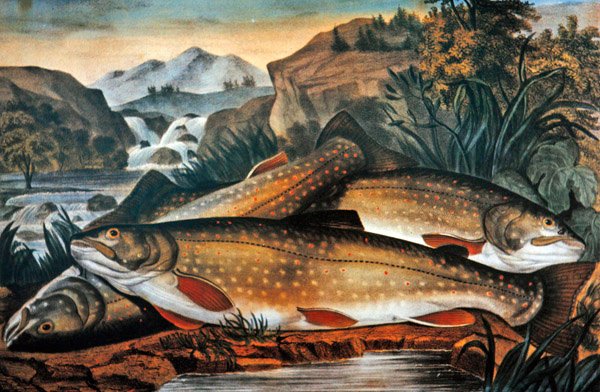 Trucha de arroyo recién capturada, publicada por Currier & Ives, c.1870 de American School