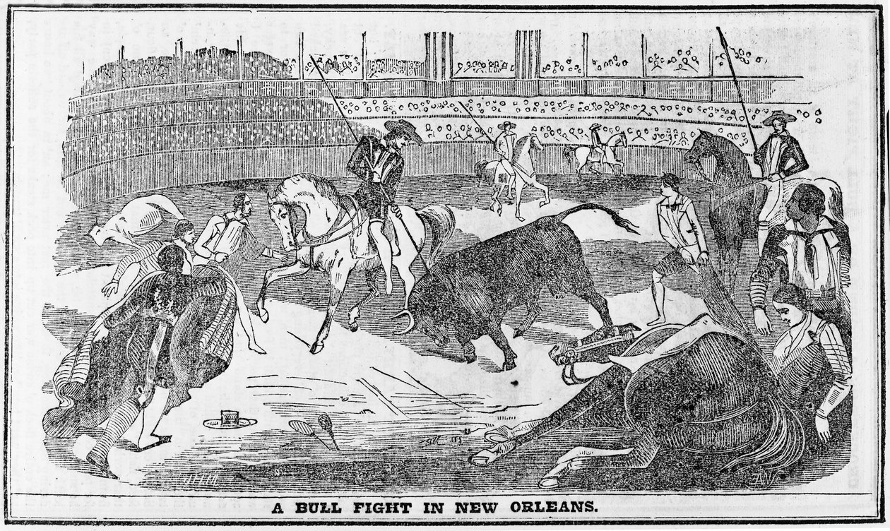 Corrida de toros en Nueva Orleans, del Almanaque de Davy Crockett, Boston, 1849 de American School