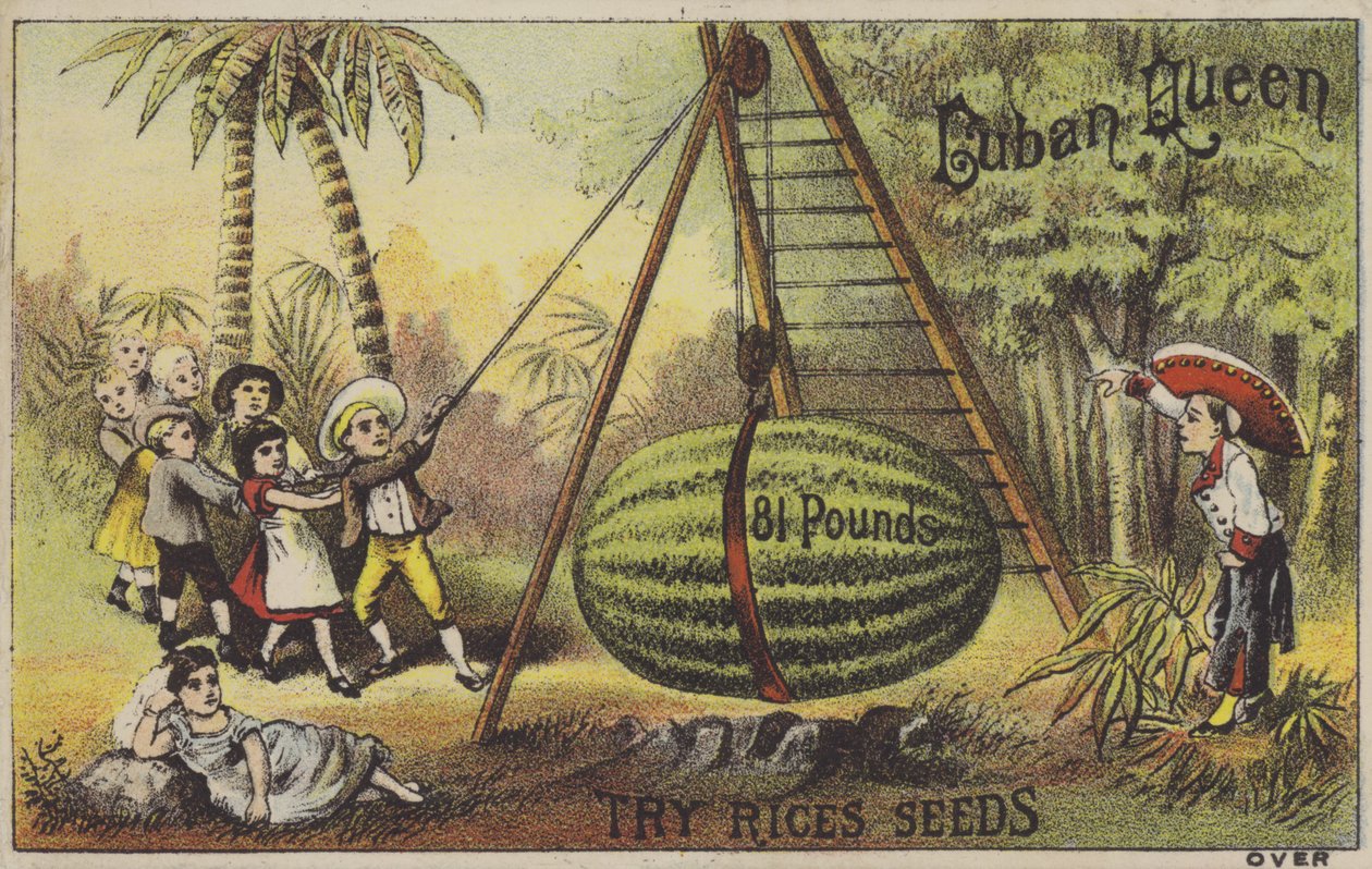 Niños criando un enorme melón de agua (chromolitho) de American School