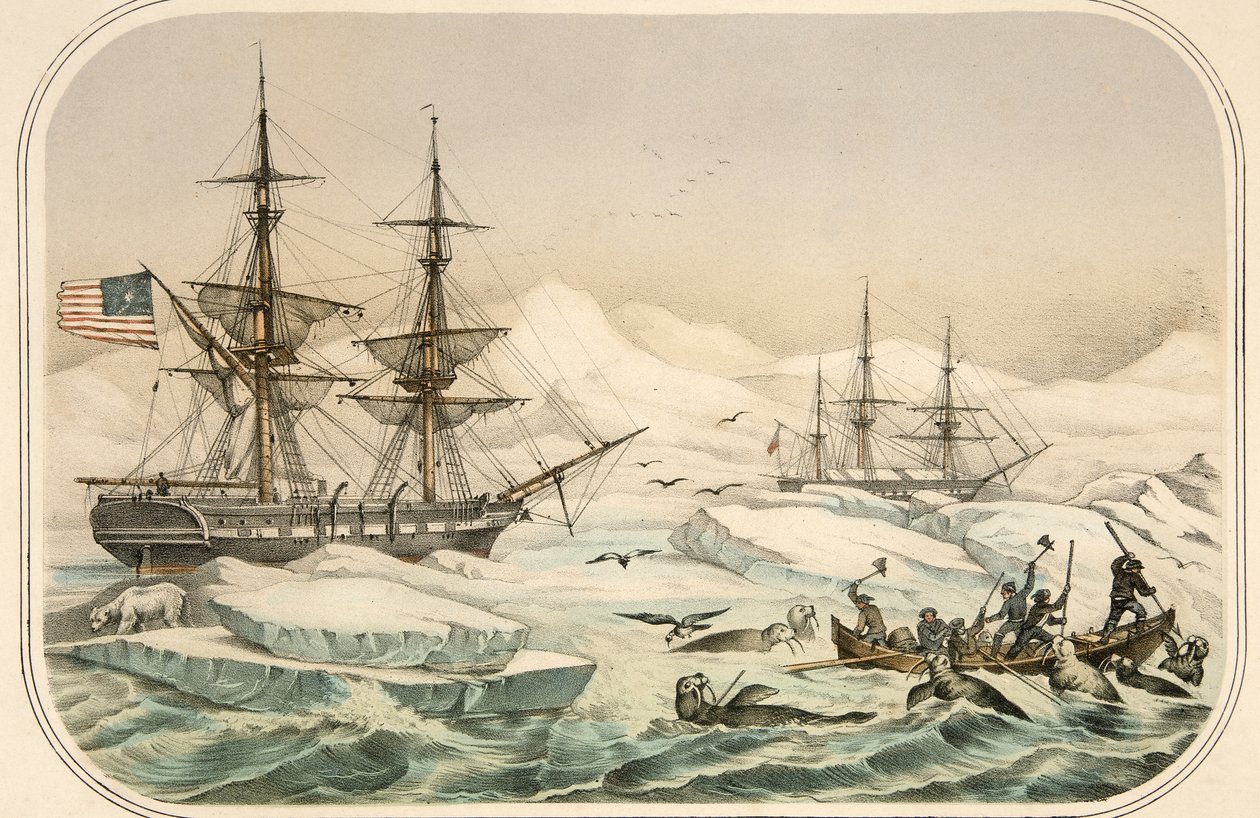 Tripulación de un barco ballenero atacada por morsas, pub. (litografía en color) de American School
