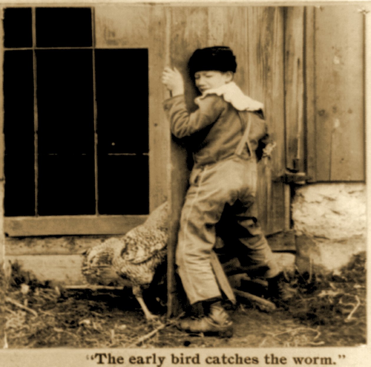 Detalle de la tarjeta estereoscópica "The early bird catches the worm" (1900) (fotografía en blanco y negro) de American School