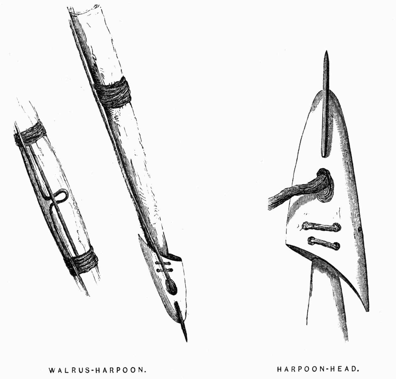 Herramientas de caza esquimales: arpones - Elisha Kent Kane, Exploraciones Árticas en los años 1853-1855, vol. 1, p. 412, Filadelfia de American School