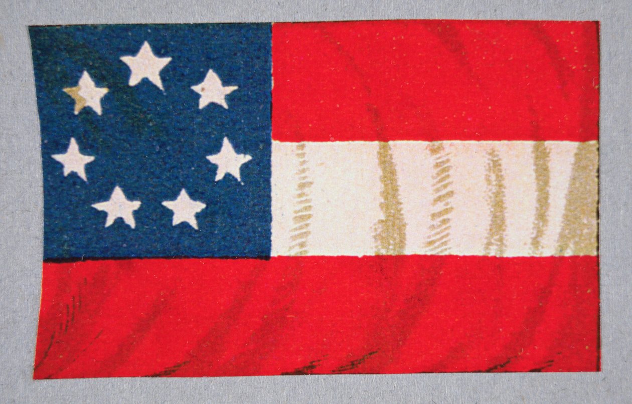 Bandera de los Estados Confederados de América de American School